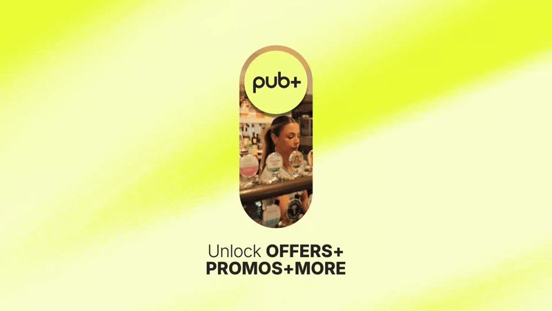 pubplus portfolio